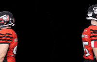 Redknights GIF by Red Knights Tübingen