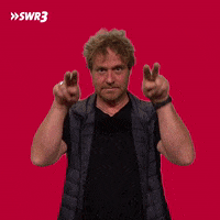 See Ya Swr3 GIF