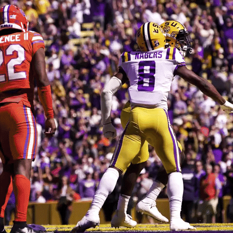 Death Valley Win GIF by LSU Tigers