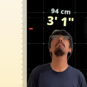 3' 1"