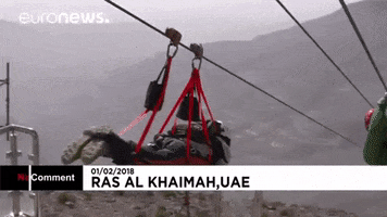 Zip Line GIF by euronews