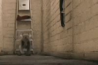 Animation Inspiration GIF