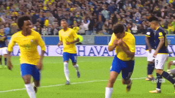Selecao Brasileira Football GIF by Confederação Brasileira de Futebol