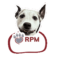 Rpm Fosteringsaveslives Sticker by Rescued Pets Movement