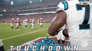 Carolina Panthers Football GIF by NFL