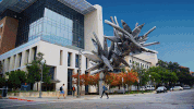 Utaustin Texasscience GIF by College of Natural Sciences, UT Austin