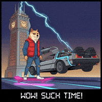 Back To The Future Illustration GIF by Doge Pound