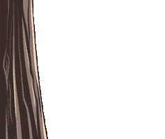 Happy Feliz Sticker by Jin