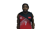 Basketball Celebration Sticker by UWE Performance Sport