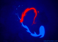 animation art GIF by Nelson Diaz