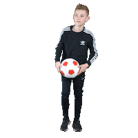 Soccer Hovenier Sticker by Meker Tuinen