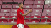 High Five Sl Benfica GIF by Sport Lisboa e Benfica