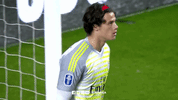 sl benfica goalkeeper GIF by Sport Lisboa e Benfica