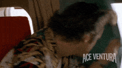 Jim Carrey Look GIF by Ace Ventura