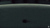season 3 drama GIF by Animal Kingdom on TNT