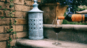 celebrate red wine GIF by Campo Viejo UK