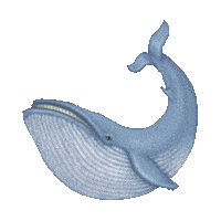 Blue Whale Sticker by imoji