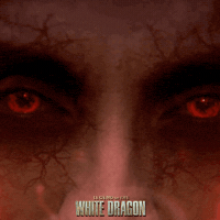 Power Rangers White Dragon GIF by Signature Entertainment