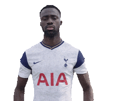 London Football Sticker by Tottenham Hotspur