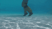 pool GIF by UCF Knights
