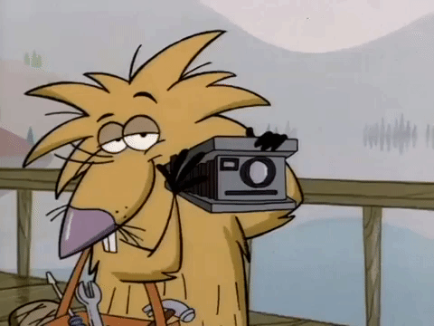 angry beavers nicksplat GIF