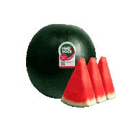 melanciapingodoce melancia pingo doce melancia pingo doce sabor por inteiro Sticker