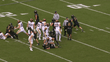 Big Ten Michigan GIF by Northwestern Athletics