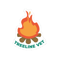 Hot Dog Fire Sticker by Treeline Vet