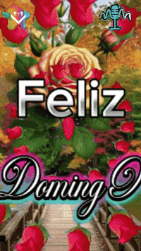 Un Dia Feliz GIF by Murcianys LLC