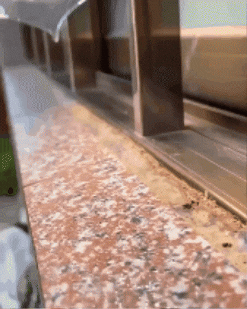claassis giphygifmaker GIF