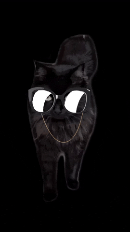 Cat Fashion GIF by Tikicraft