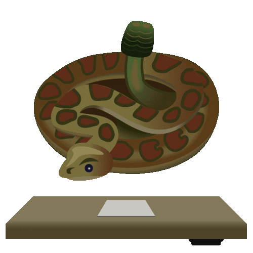 Rattle Snake Sticker by onmilwaukee