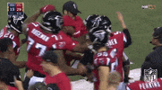 atlanta falcons GIF by NFL