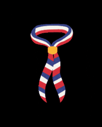 Barcelona GIF by Escoltes Catalans