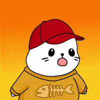 Fun Wow GIF by Sappy Seals Community