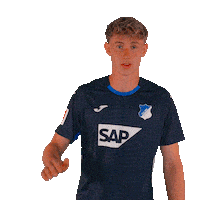 Sport Hallo Sticker by TSG Hoffenheim