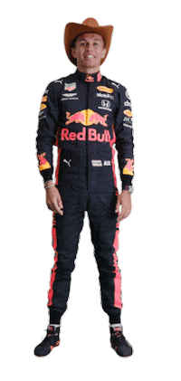 Red Bull F1 Sticker by Oracle Red Bull Racing