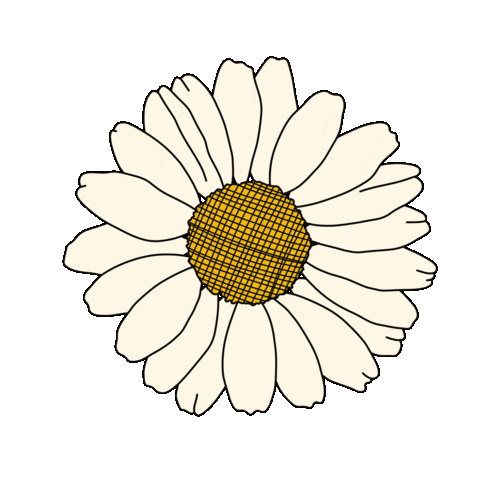 bydaisydalia giphyupload flower floral daisy Sticker