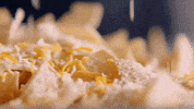 nachos are301 GIF by truTV’s Adam Ruins Everything