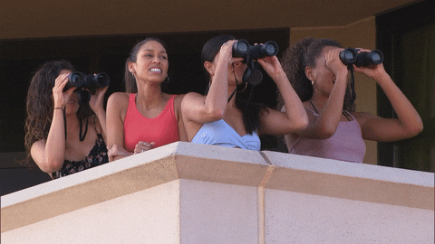 Season 25 Laughing GIF by The Bachelor