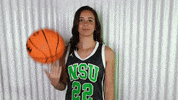 Basketball GIF by RiverHawk Sports