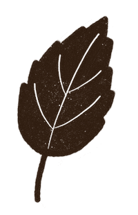 Fall Autumn Sticker by Daniela Nachtigall