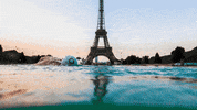 sport paris GIF by Olympic Channel