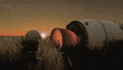 Space Rockets GIF by Ahwoo
