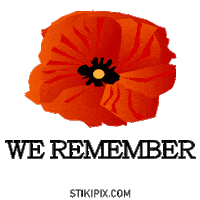 11Th November Love Sticker by STIKIPIX