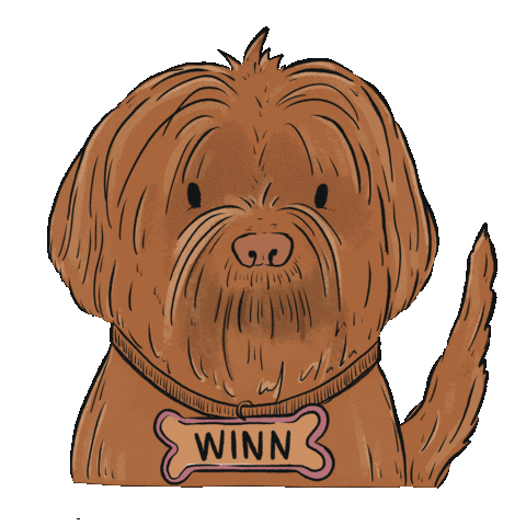 lettersfromaileen giphyupload study lab research Sticker