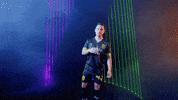 Meow Wolf Home Kit GIF by New Mexico United