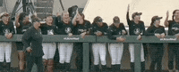 College Sports Softball GIF by NCAA Championships