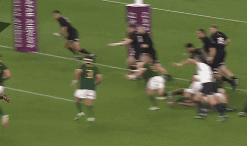 Emil_Z giphyupload GIF