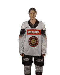 Ice Hockey Sticker by deb_teams